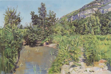 Krajina rybníka poblíž Veyrier